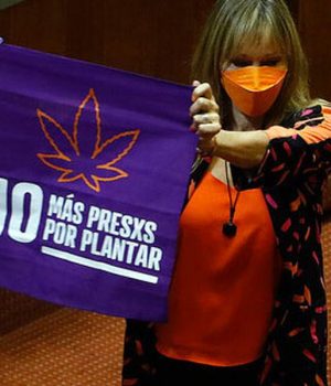 Marihuana-diputada gazmuri tercera