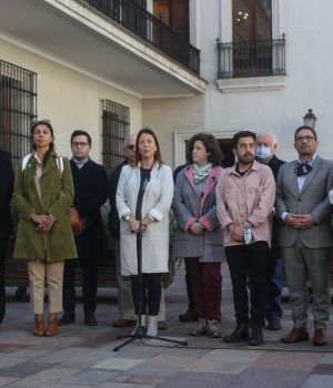 Partidos oficialistas-tercera