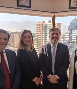 Christian Amthauer, Soledad Torres, José Tomás Méndez y Guarequena Gutiérrez