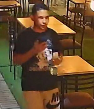 Asesinato de Palma-tercer sujeto