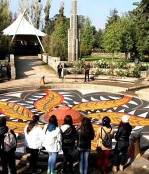 Grimaldi Villa Mostrador