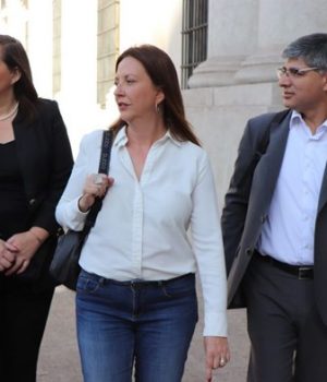 socialismo democrático 1