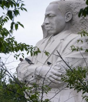 Martin Luther King-cooperativa efe