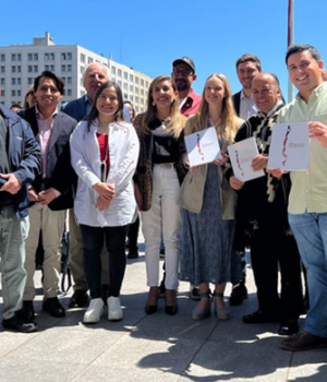 Hevia movimientos sociales-emol