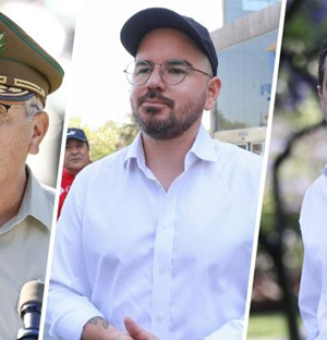 Yañez, Jackson Zalaquett emol