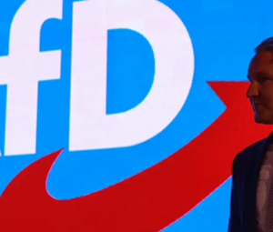AfD-Björn Höcke alemania dw