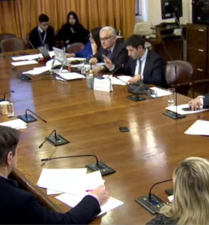 Comision de Constitucion Camara-emol