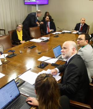 Elizalde Comision seguridad emol