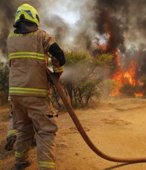 Incendio forestal-cooperativa