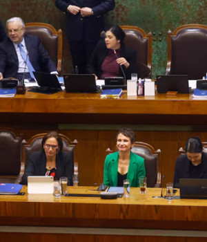 Ministerio de seguridad publica-latercera