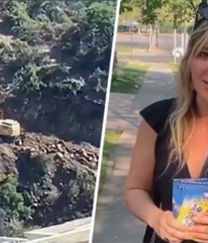 Loreto Letelier Lo Barcnechea