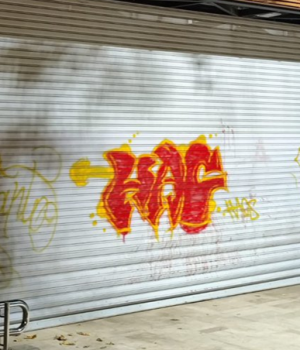 Providencia cafe liteario-emol