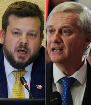 Matthei KK Y Toha-.ex ante