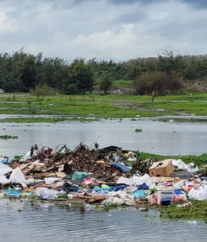 Humedal Vasco de Gama Concepcion