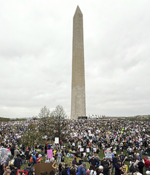 Protesta anti Trump EEUU
