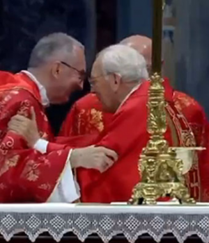Vaticano Pietro Parolin-emol efe