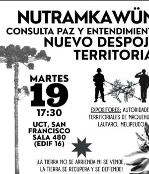 Consulta indigena-libero