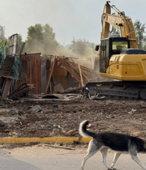 Desalojo Canmpamento-emol