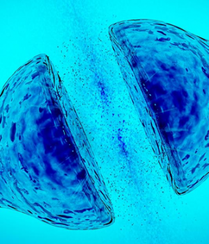 Neurona Artificial EEUU-DW