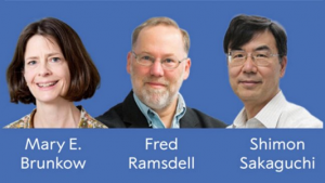 Premios Nobel de Medicina-2025-cooperativa EFE