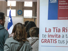 Contraloría: graves fallas de control de «Tía Rica» sobre especies robadas