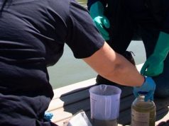 Maule: Seremi de Salud declara riesgo sanitario en Lago Vichuquén