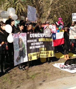 marcha-sename-concepcion-3