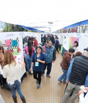 Feria Municipios-el dia