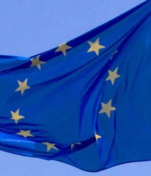 Union Europea UE-Pulso