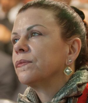 Karlezi Cecilia - Emol Falabella