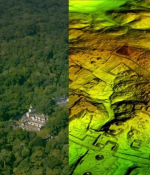 Mayas Megapoli-bbc mundo