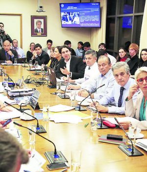 Comision Salud eutanasia-tercera