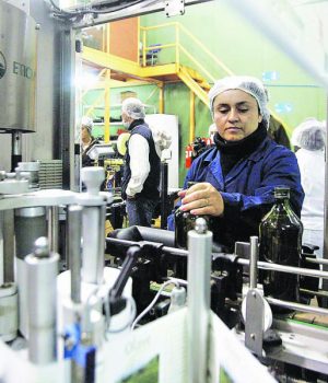 Trabajadores Manufactura tercera