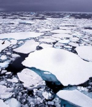 Artico-cambio climatico-dw