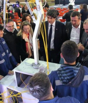 Couve Sichel Corfo-df