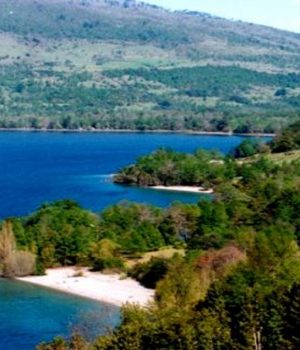 Lago Caburgua-Cooperativa (Piñera)