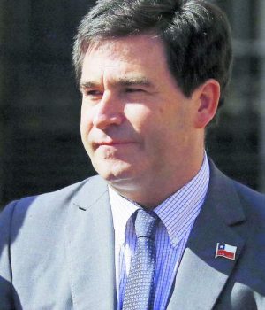 Ricardo Irarrázabal-Sub Energia-Pulso