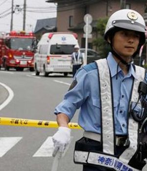 Japon-efe cooperativa