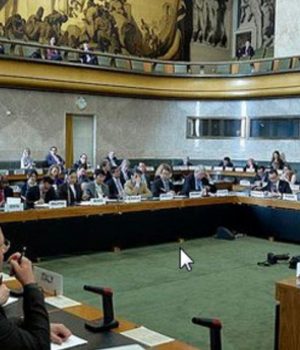 ONU Sesion-cooperativa efe