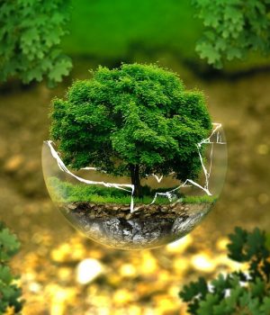 Medio ambiente-que pasa