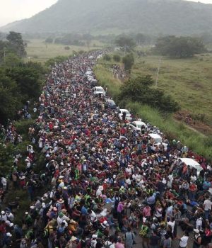 migrantes 2