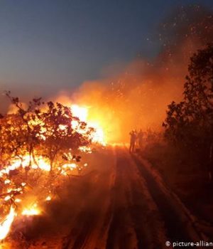 Amazonas-Incendio-dw dpa