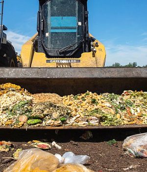 Basura-emol la segunda