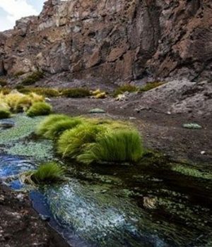 Silala-cooperativa efe