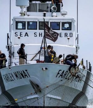 Ambientalistas-dw ap