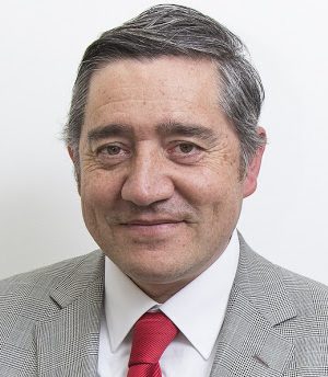 Armando Cartes Montory-udec