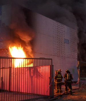 Museo Violeta Parra-tercera twitter