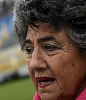 Reginato Virginia-soychile