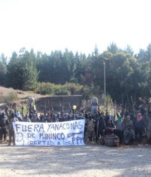 Guerrilla mapuche-bio bio