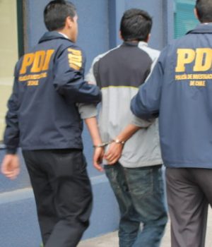 PDI Revuelta-bio bio PDI